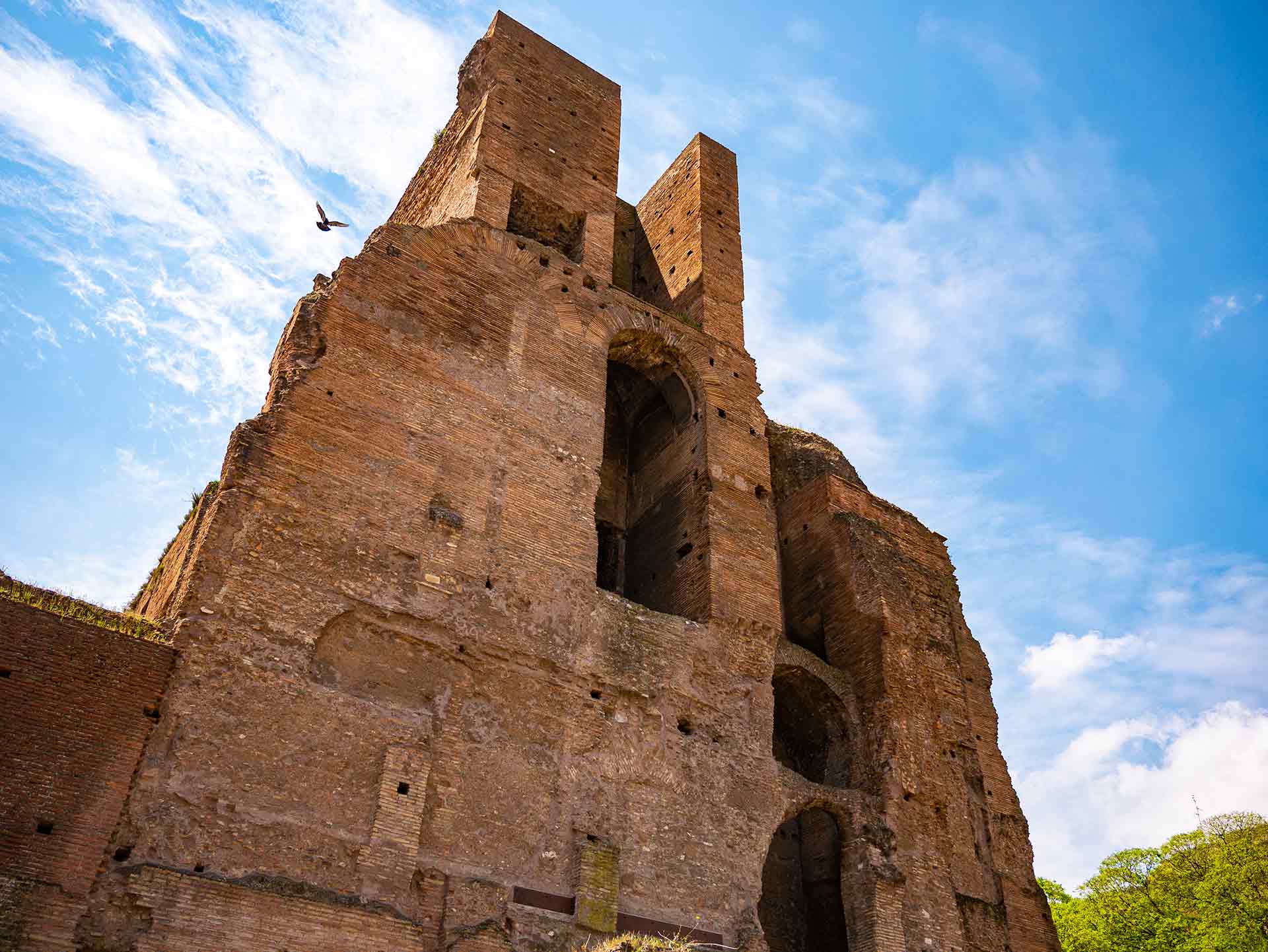 Roma. Una maestosa visione